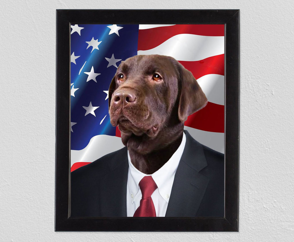 personalized american dog portrait